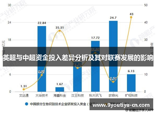 英超与中超资金投入差异分析及其对联赛发展的影响