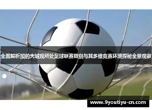 全面解析加的夫城现所处足球联赛级别与其多维竞赛环境探秘全景观察 全面解析加的夫城现所处足球联赛级别与其多维竞赛环境探秘全景观察